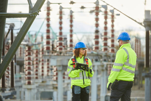 Best Electric Panel Repair  in Oronoco, MN