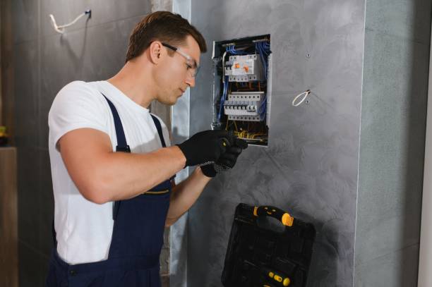 Best Electrician for Home Renovation  in Oronoco, MN