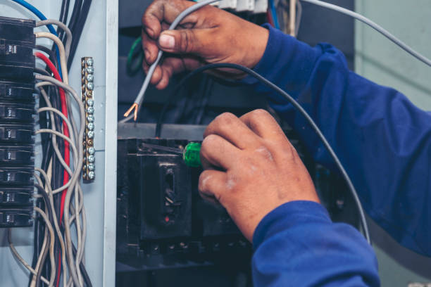 Best Affordable Electrician  in Oronoco, MN