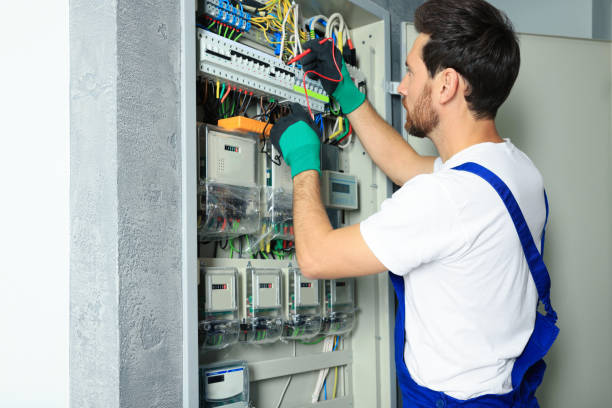 Best Electrical System Inspection  in Oronoco, MN