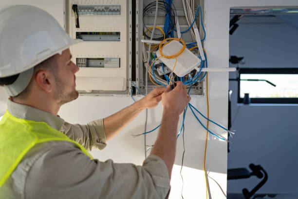 Best Electrical Upgrades for Homes  in Oronoco, MN