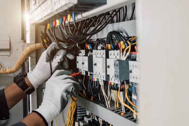 Best Electrical Rewiring Services  in Oronoco, MN